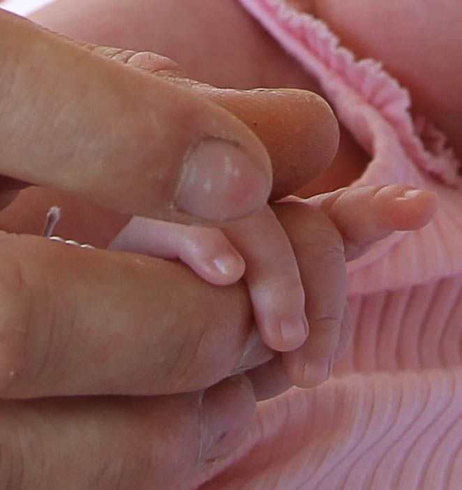 Father's hand hold new born's hand in professional photo shoot