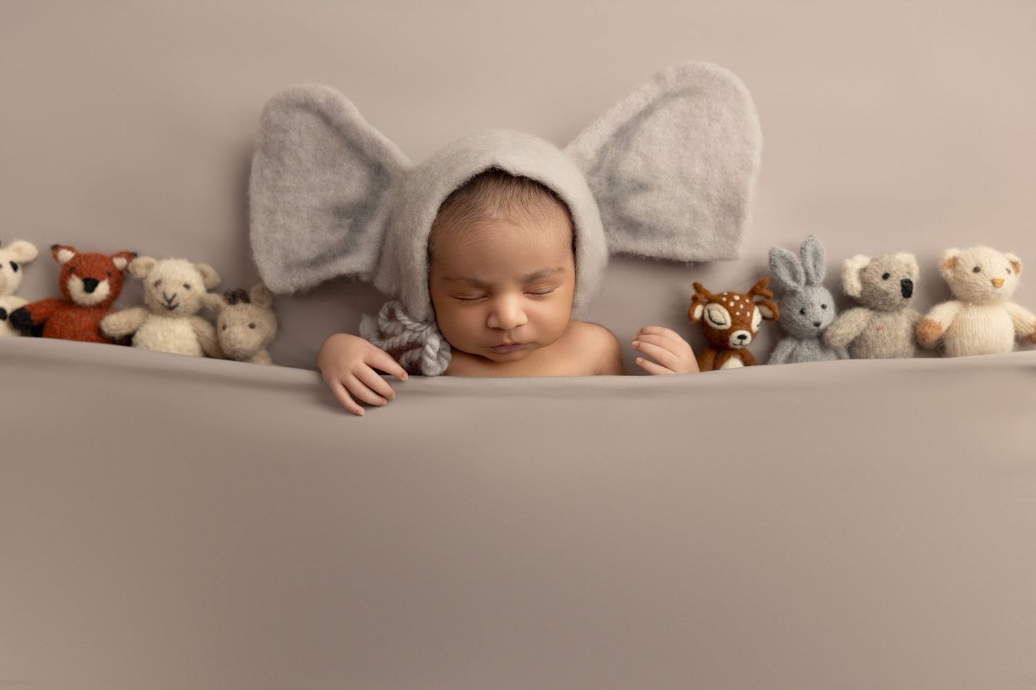 Adorable newborn portrait with plush toys and elephant ear hat against neutral background.
