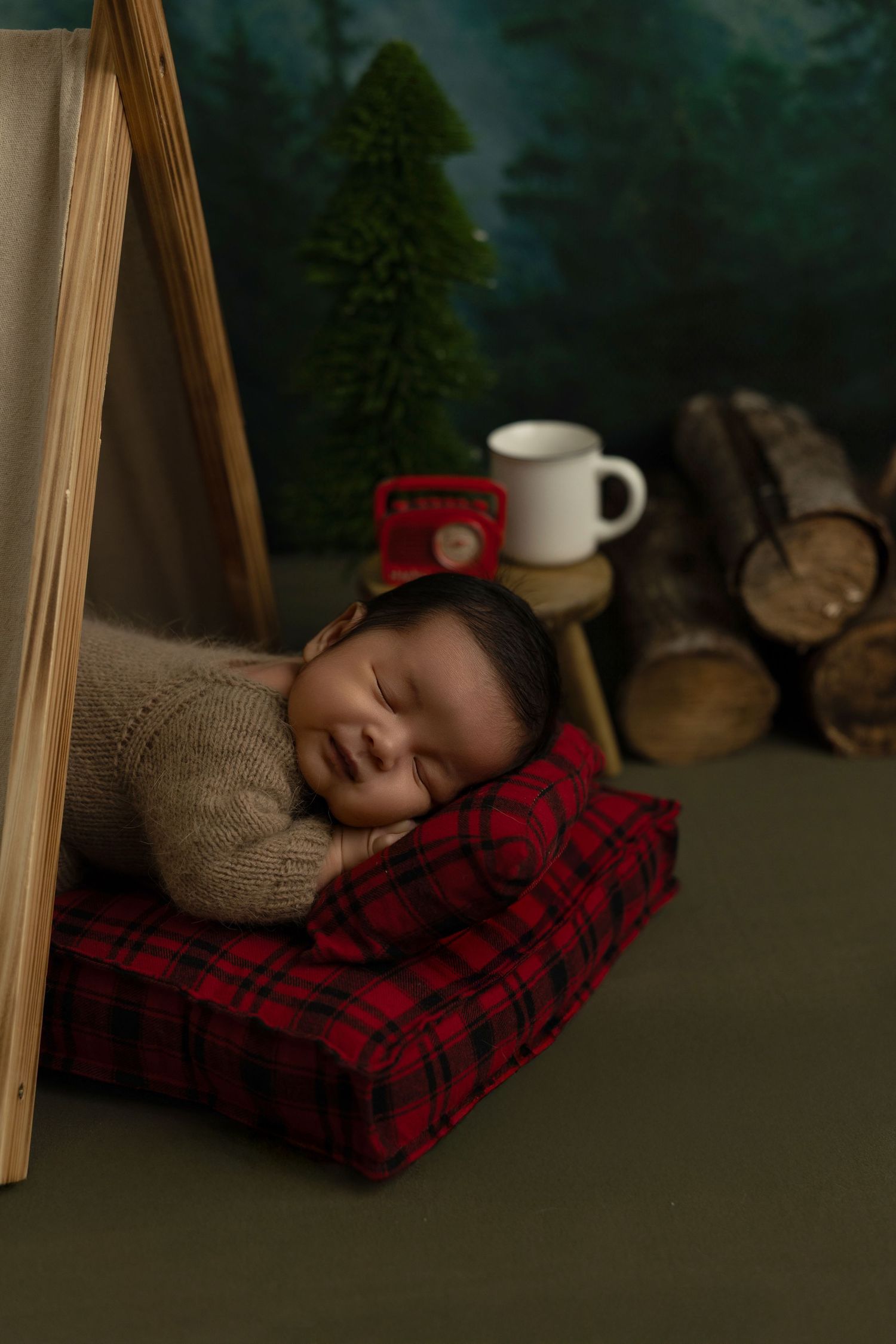 A sleeping baby rests on a red plaid blanket with a coffee mug and evergreen trees in the background.
