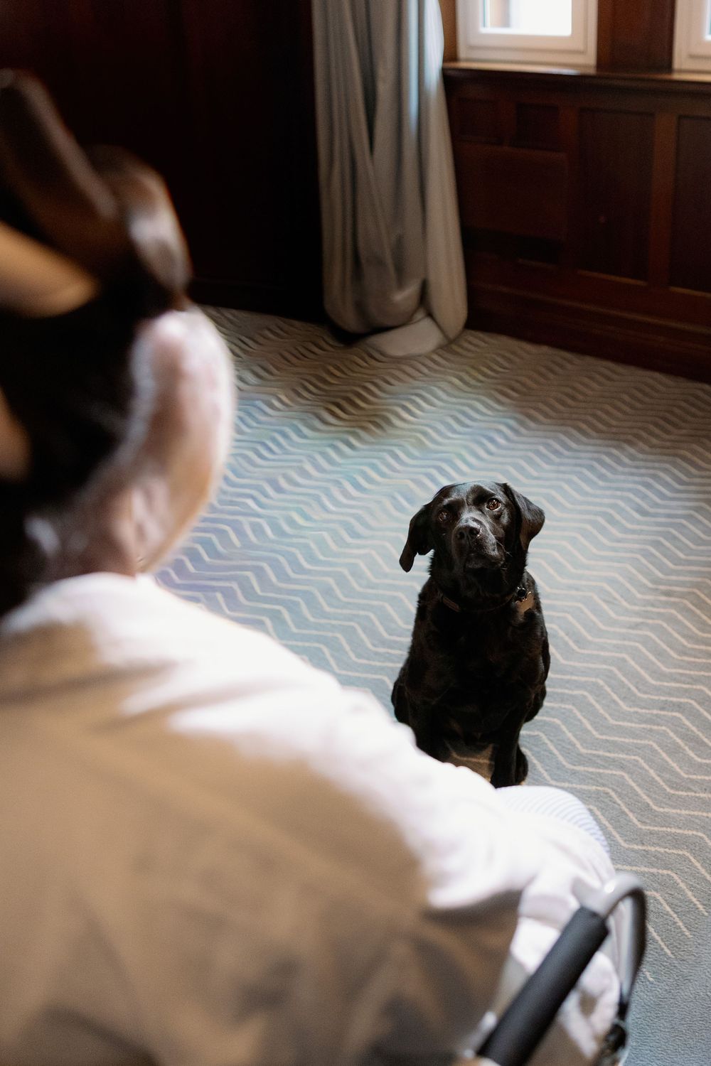 Black Labrador dog sitting on a chevron patterned carpet looking up at a person in a white robe.