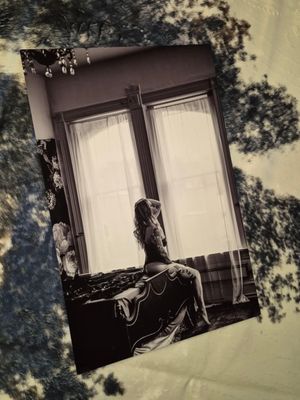 A series of vintage-style photographs showing a person sitting by a window with tree shadows cast on the wall.