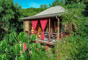 Tropical treehouse bungalow with red curtains and wooden deck surrounded by lush green jungle foliage.