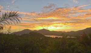 Golden sunset over tropical mountains with vibrant orange clouds reflecting on a calm bay, framed by lush green palm trees.