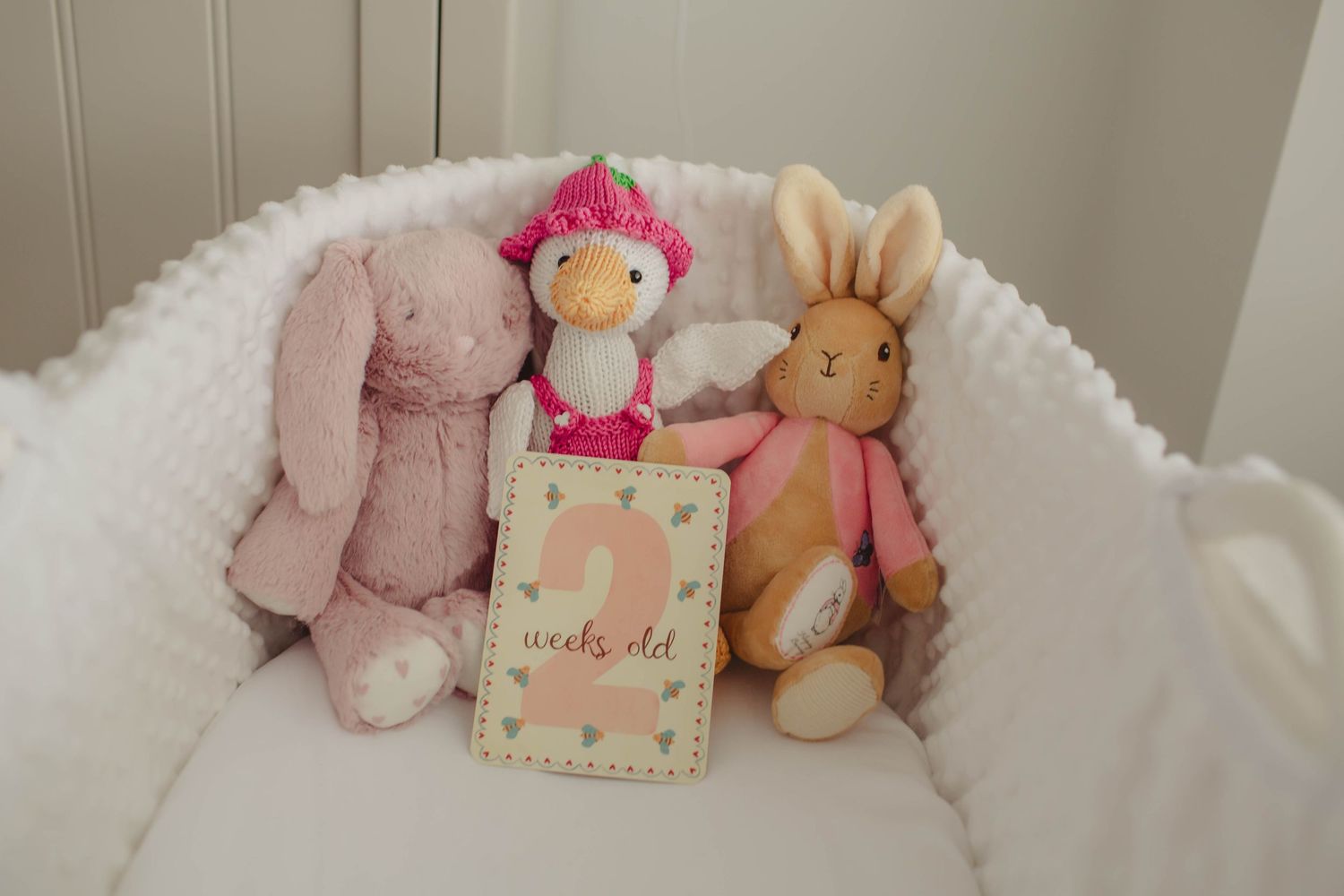 Three stuffed animals surround a 2 weeks old milestone card in a white crib, featuring a pink bunny, duck, and Peter Rabbit.