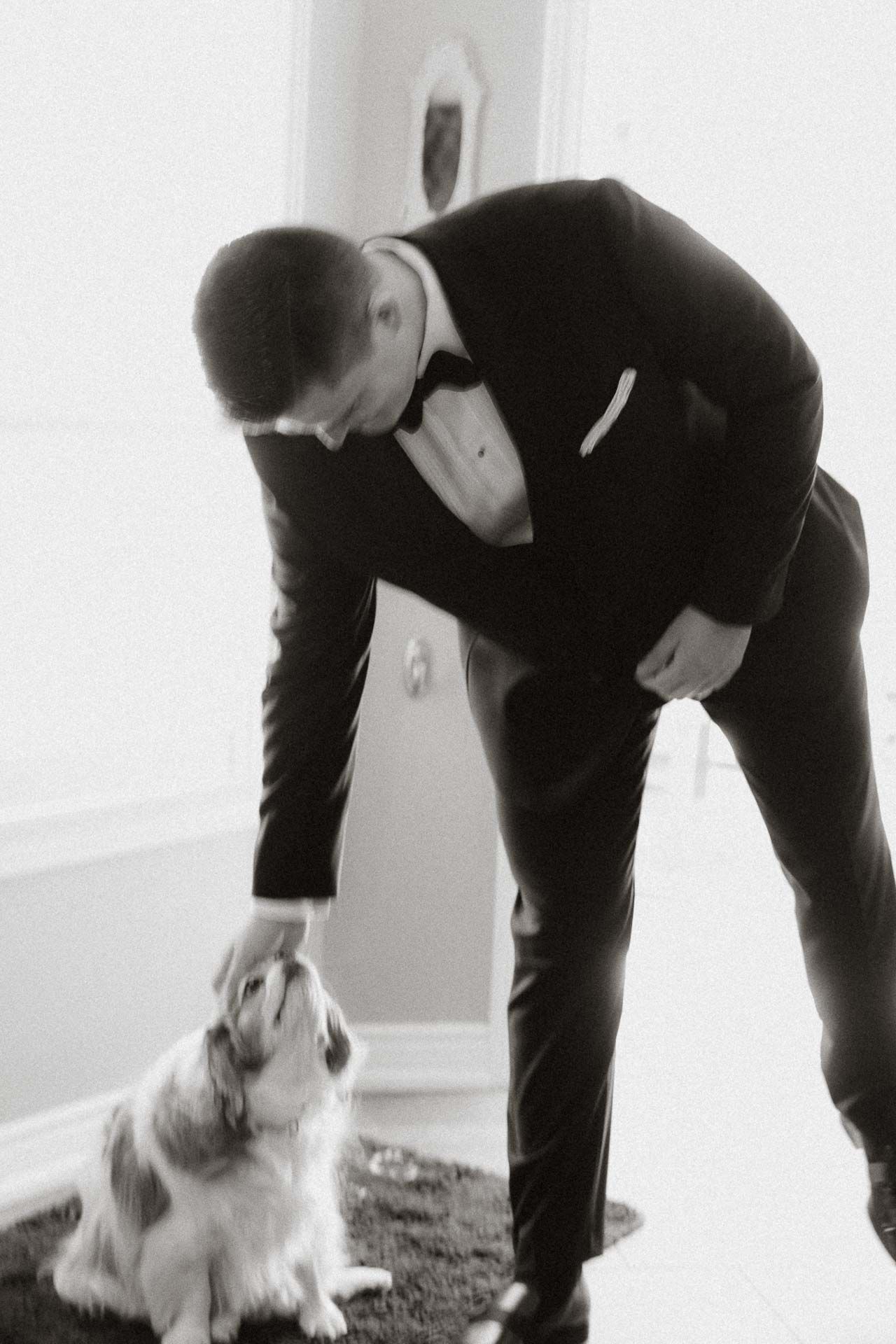 Black and white artistic photo series showing a person in formal attire bending down to pet a white dog.