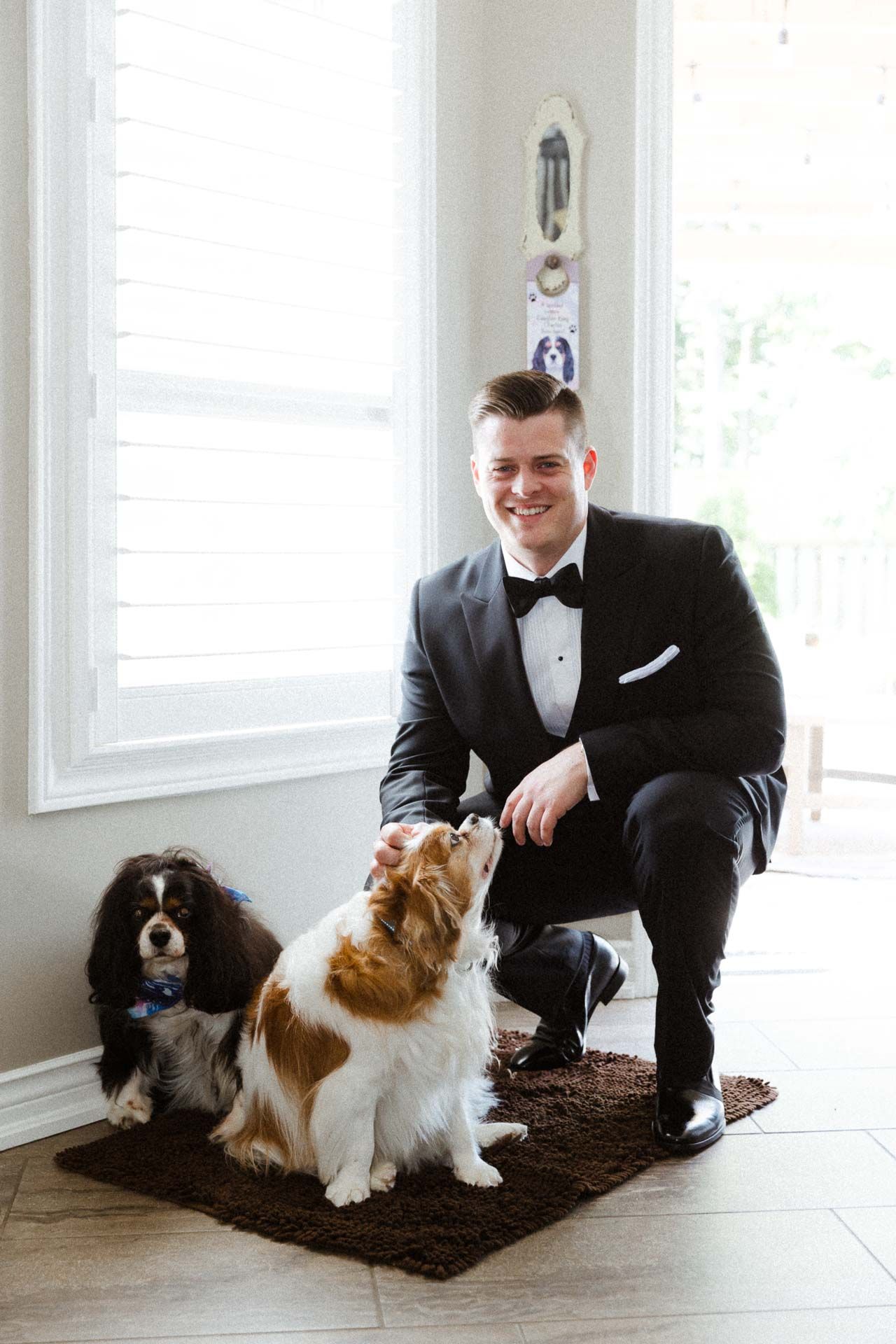 A person in a black tuxedo kneels on a brown rug with two dogs - one brown and white, and one black and white.