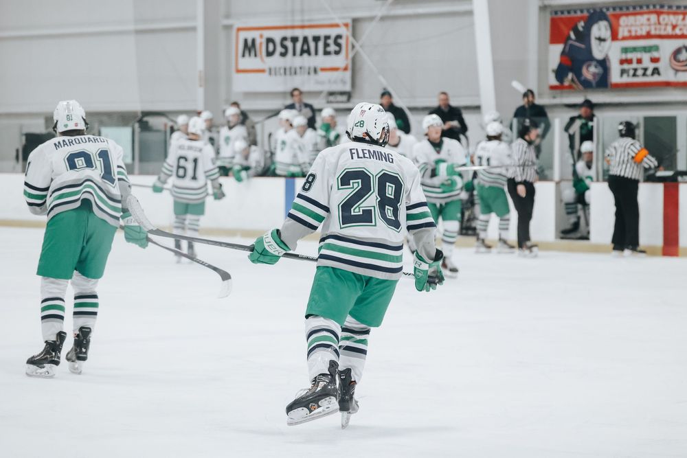 Hockey players in green and white striped jerseys celebrate on the ice.