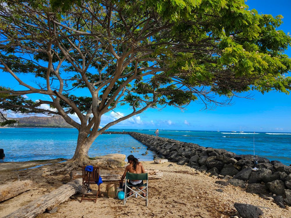 Two beach chairs sit beneath a sprawling tree overlooking a rocky shoreline and blue Hawaiian waters on a sunny day.