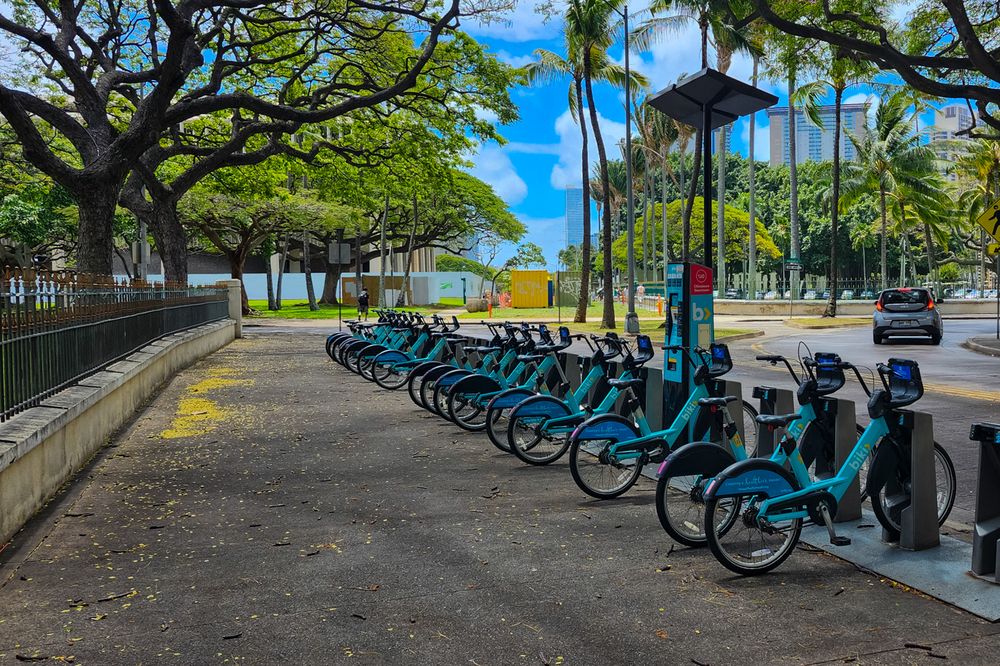 A row of blue Biki bike share bicycles parked along a palm tree lined street in Waikiki, Hawaii.