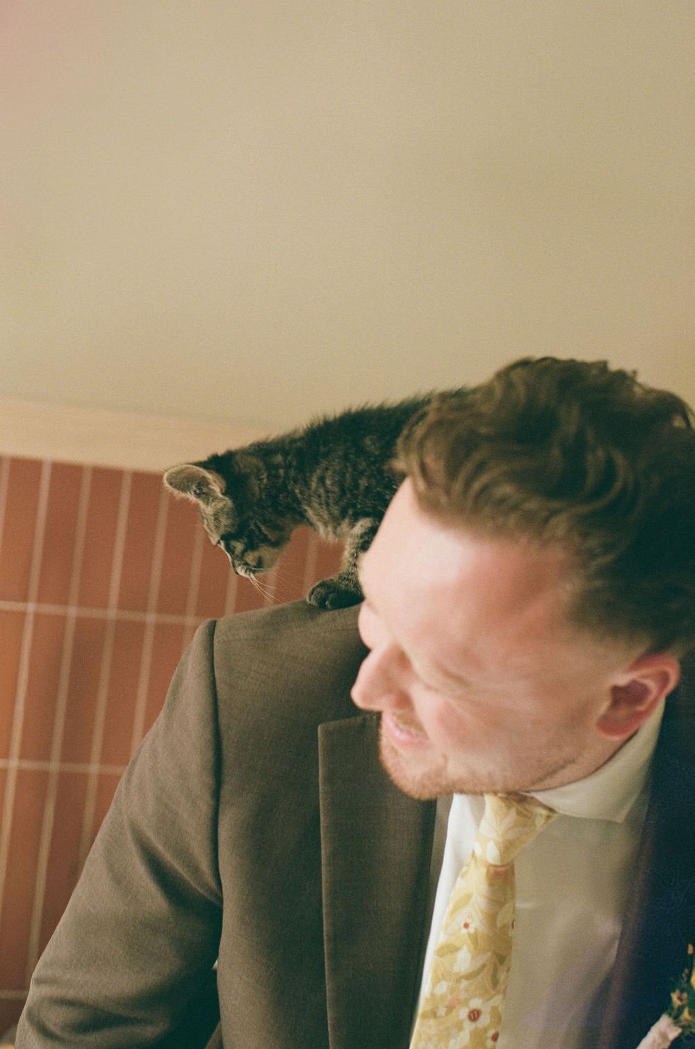 Groom getting ready at home with his cat, on film. Howdy Pictures - film wedding & elopement photographers in Canada & New Zealand