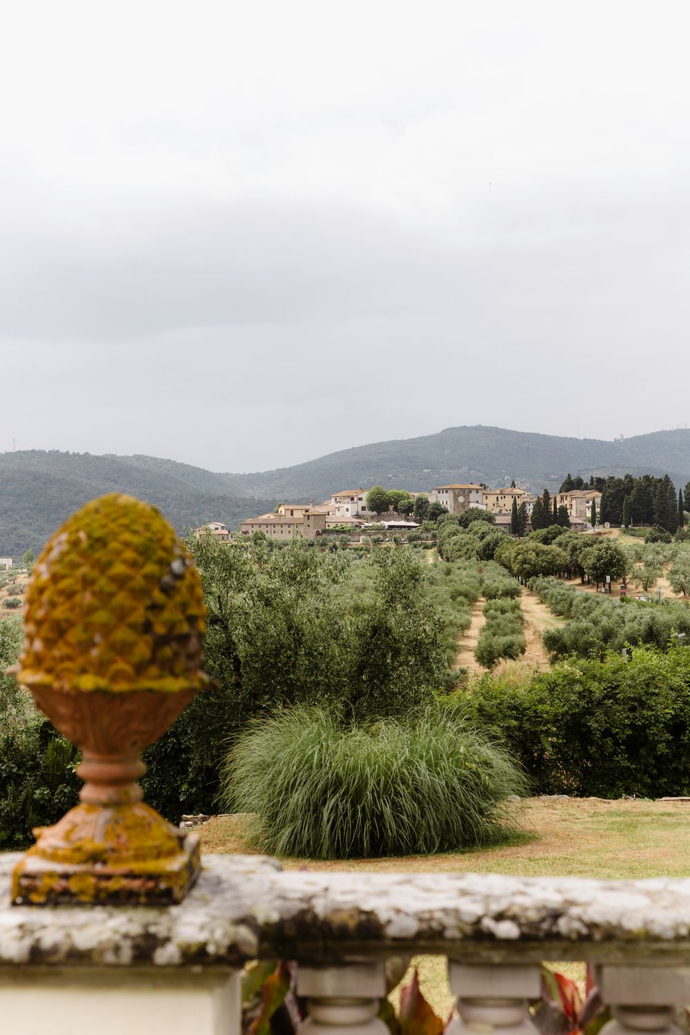 Rolling hills of Tuscany with olive groves and rustic villas nestled among cypress trees in the distance.