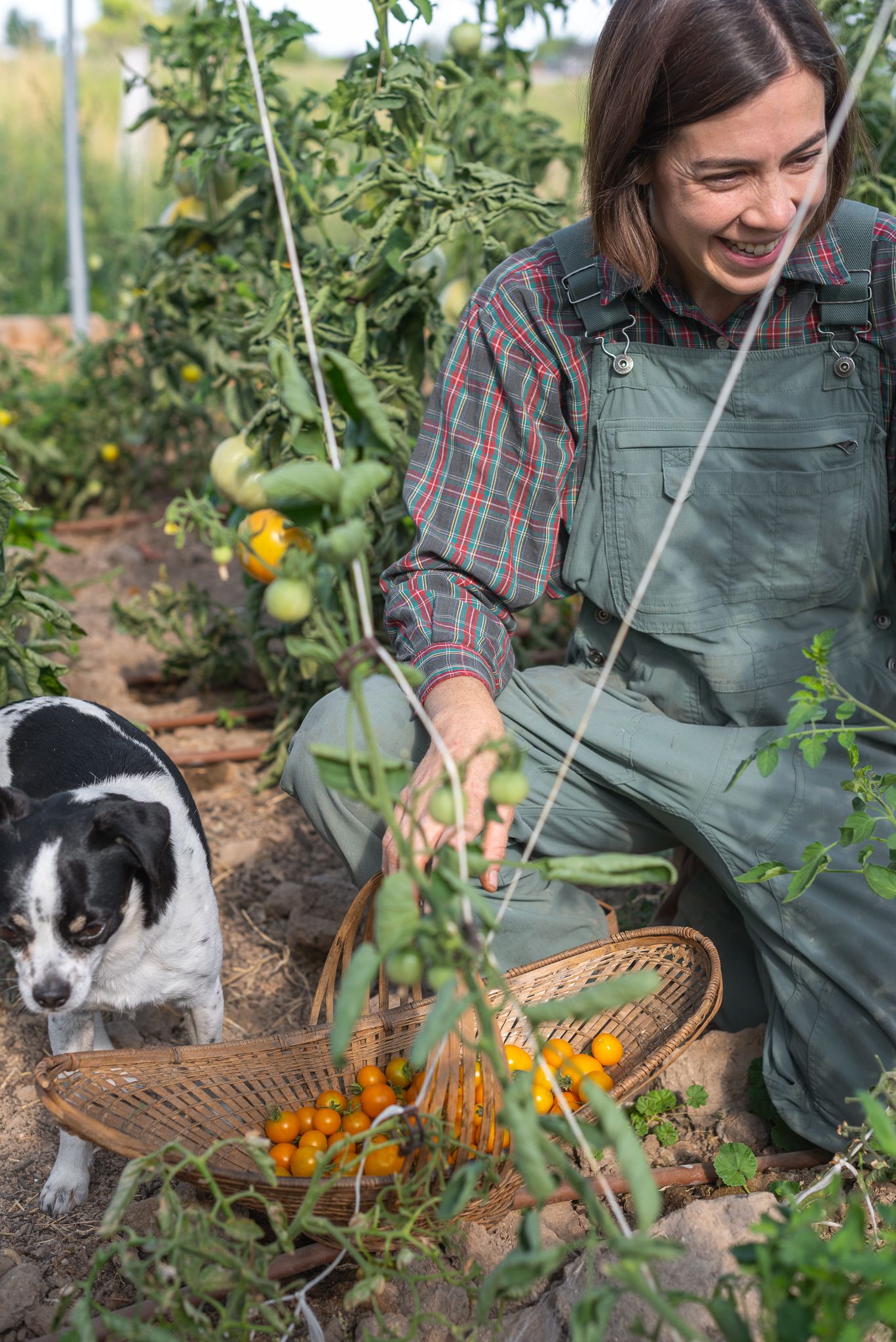 documentary commercial farm photographer in nampa idaho