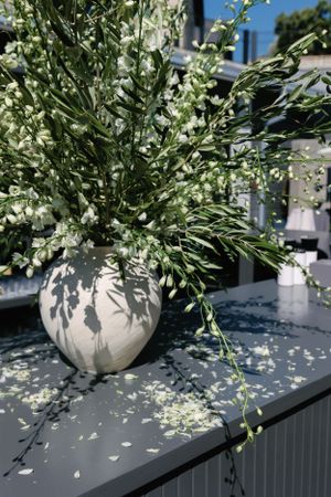 White delicate flowers arranged in a cream vase casting shadows on a dark surface.