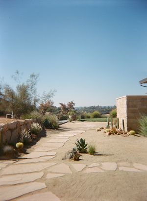 Desert garden pathway with stone pavers and native plants under bright blue sky.