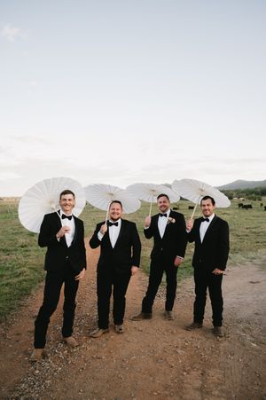 A group in formal attire poses with white parasols against a mountain landscape.