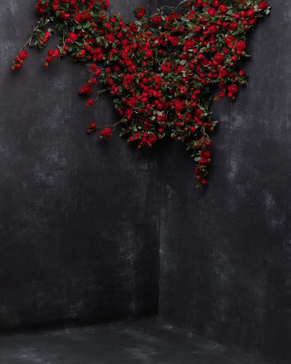 Vibrant red bougainvillea flowers cascade dramatically against a dark moody concrete wall.