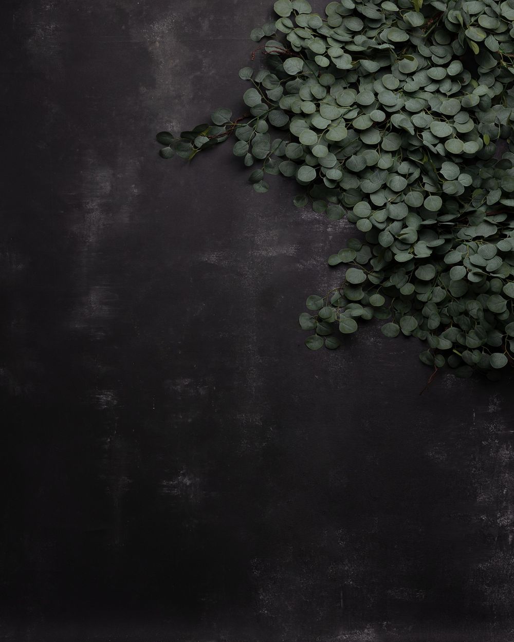 Dark background texture with lush green leaves cascading from the top corner creating an organic border effect.