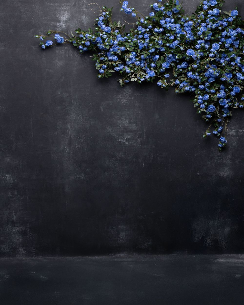 Blue forget-me-not flowers cascade along the edge of a dark gray textured background, creating a delicate floral border.