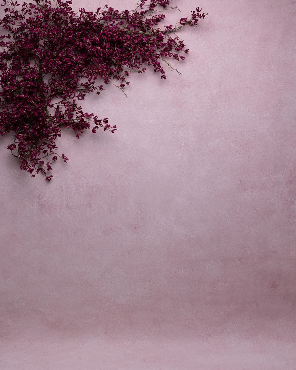 Deep burgundy leaves against a misty pink background create a dreamy nature-inspired composition.