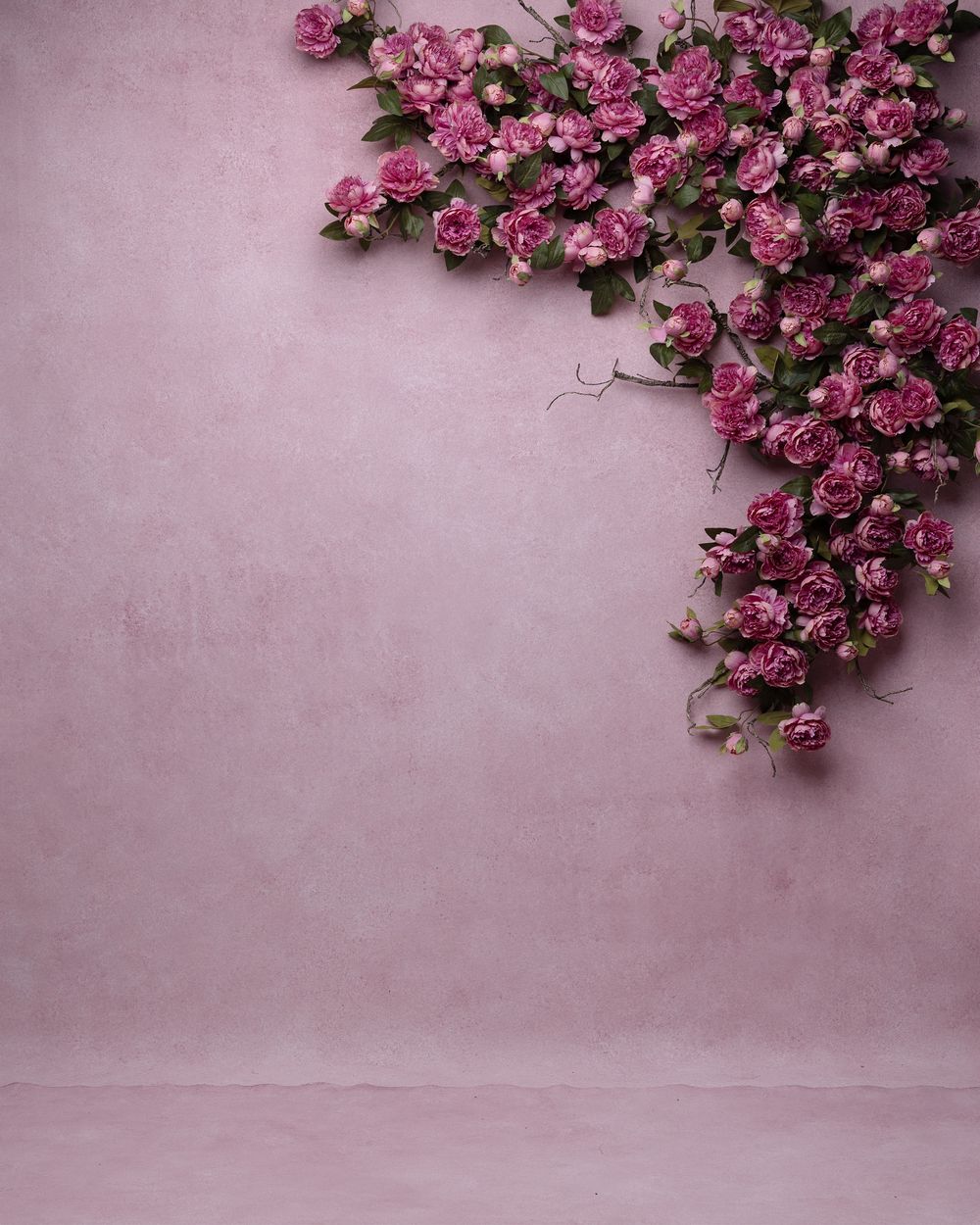 Pink roses cascade along the top edge of a mauve colored textured background creating an elegant floral border.