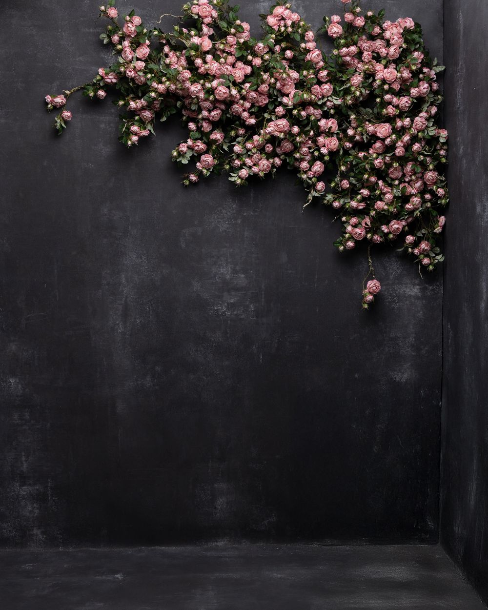 Delicate pink cherry blossoms cascade down a dark charcoal wall creating an elegant natural contrast.
