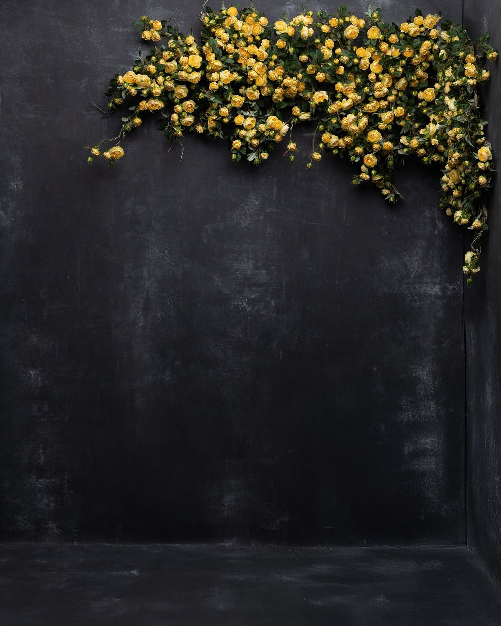 Yellow spring flowers cascade down a dark gray textured wall creating dramatic contrast against the moody background.