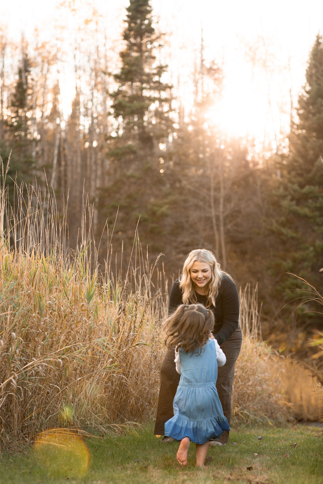 A sequence of photos shows people playing in tall grass at sunset with evergreen trees in the background.