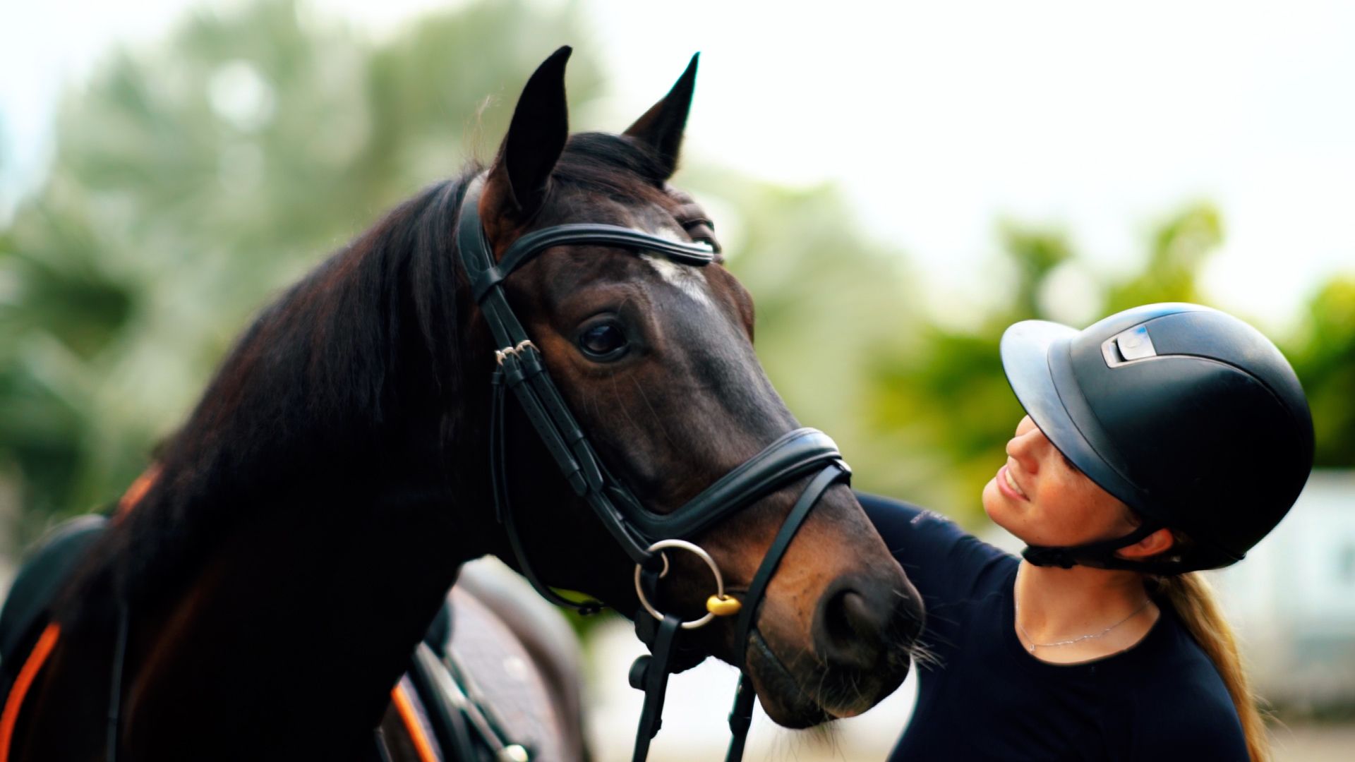 Black horse and rider sharing an intimate bonding moment.