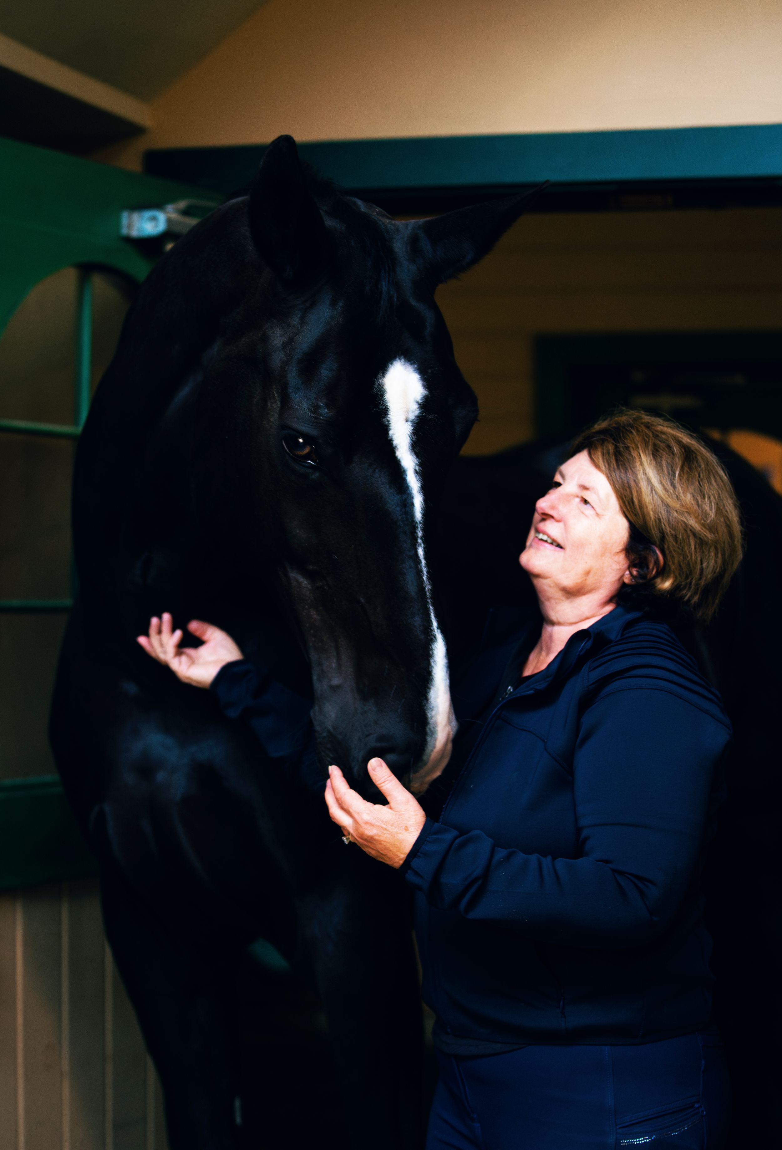 A person in a navy sweater shares a joyful moment with a large black horse in a stable setting.