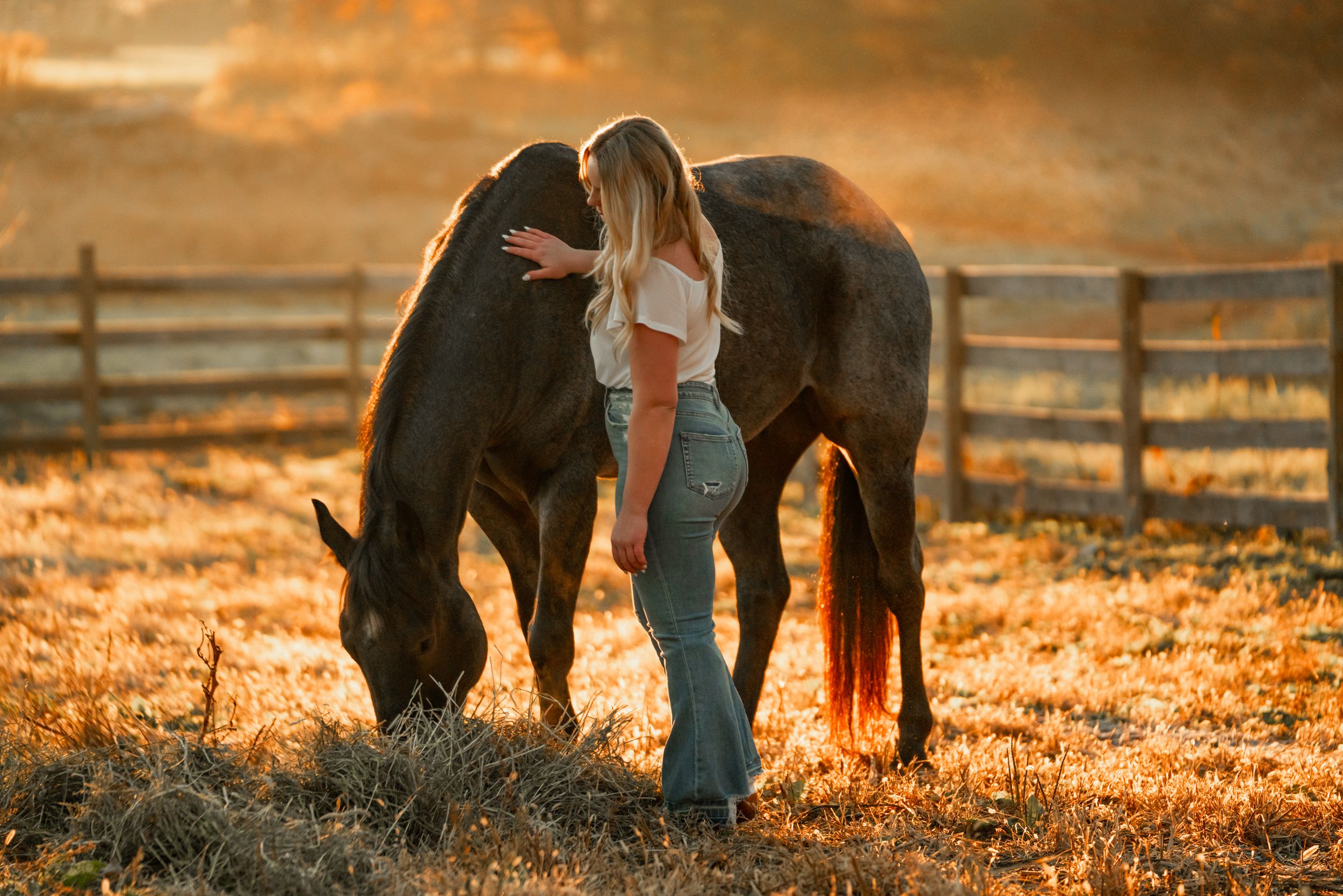 Horse and companion sharing a peaceful moment at sunset in a fenced pasture.