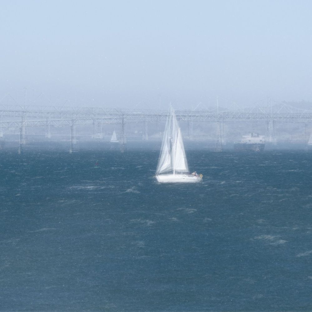 White sailboats racing across San Francisco Bay with bridge in background.