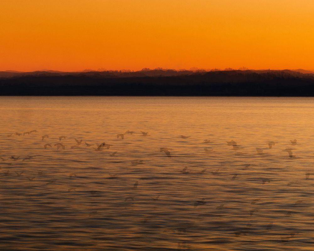 Dramatic orange sunset over tranquil water creating a vibrant reflection.