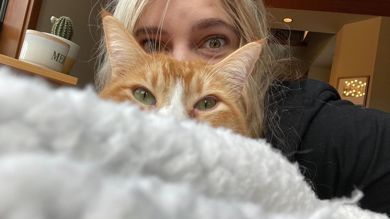 A series of selfies showing a person with long blonde hair posing alongside an orange tabby cat.