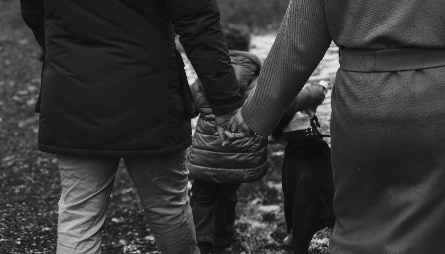 Dettaglio di mani intrecciate di una famiglia che passeggia in un parco con figlia e cagnolina.