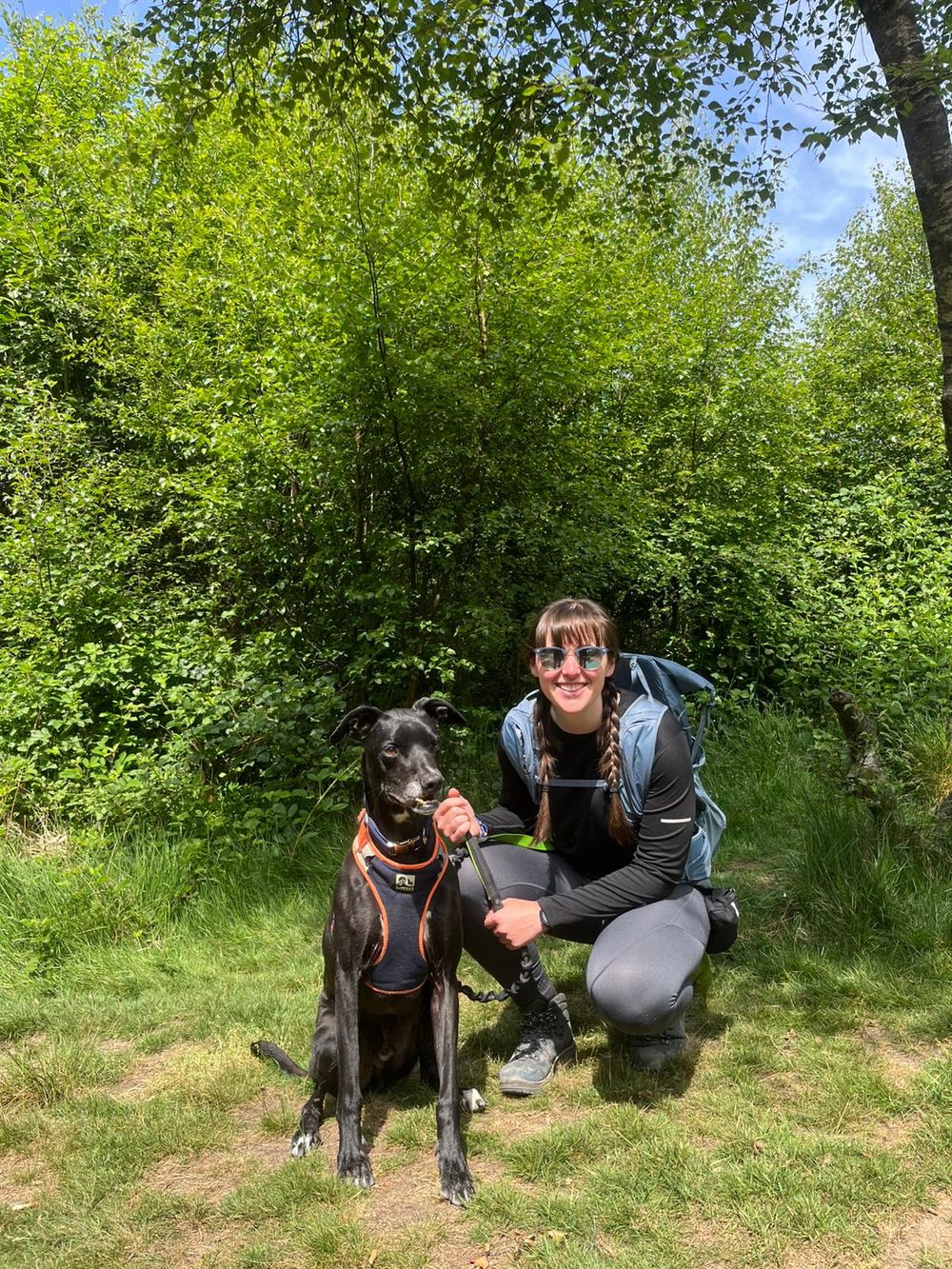Black dog and companion enjoying a sunny day outdoors in a grassy area with trees in the background.