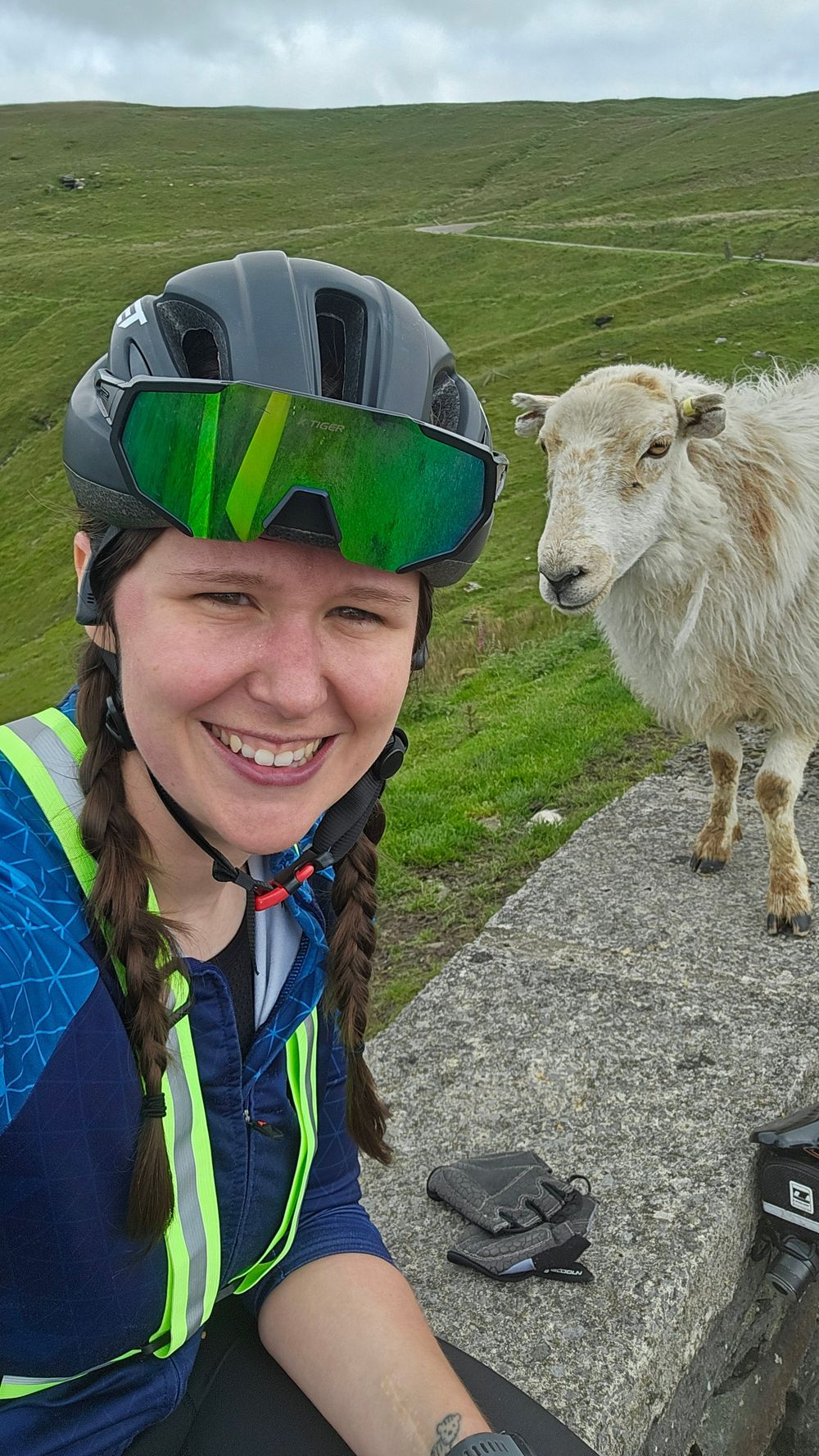 Cyclist encounters friendly mountain goat on a scenic hiking trail in the rolling green hills.