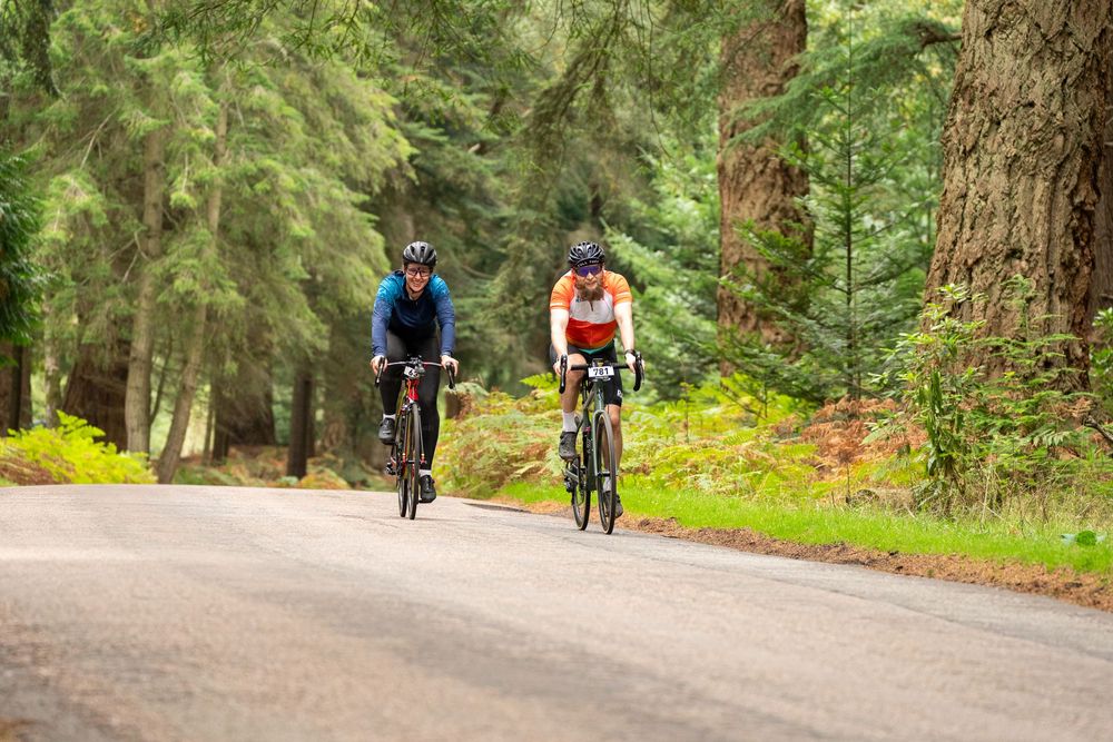 Cyclists riding through a scenic forest path on a sunny day.