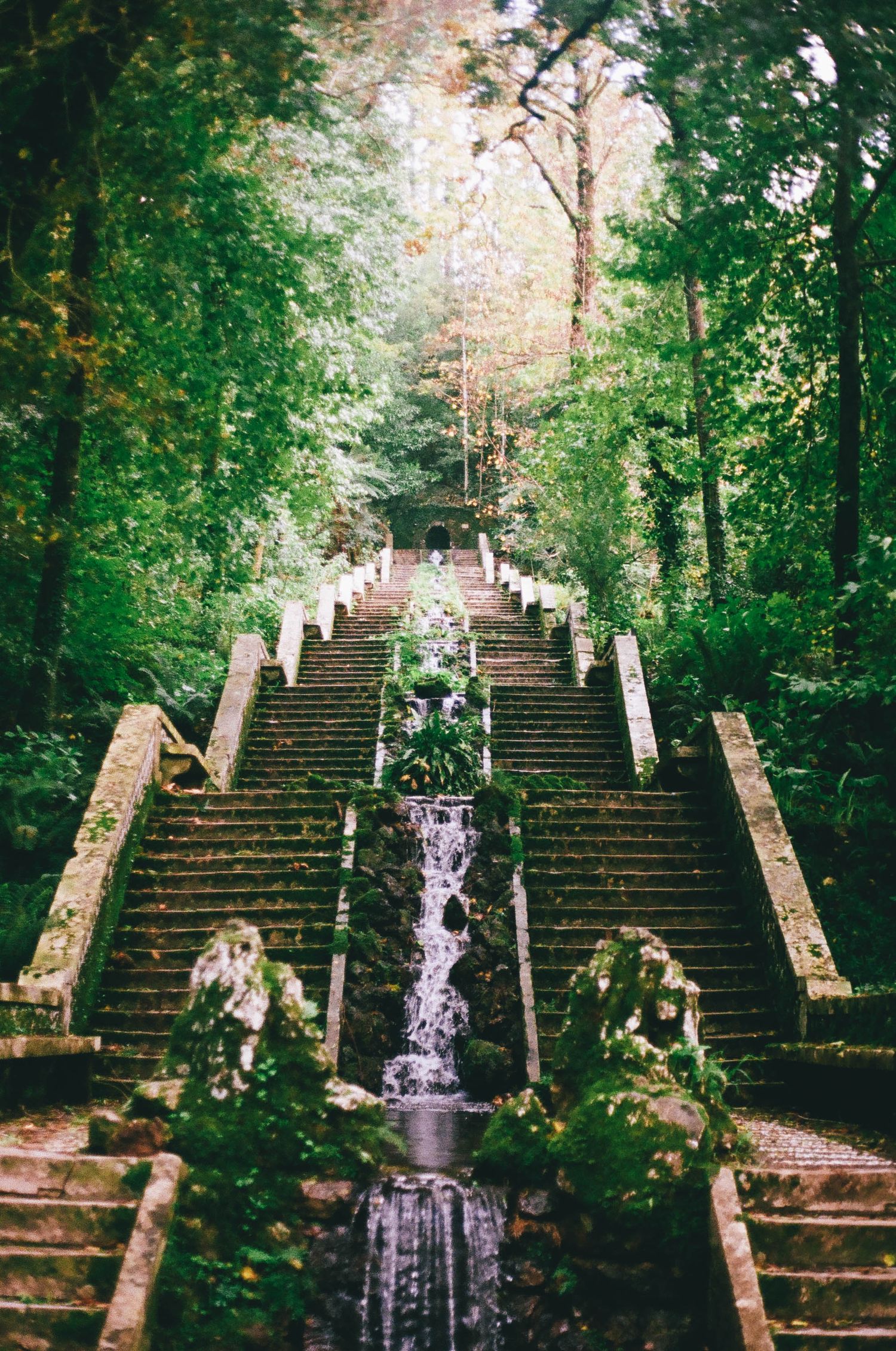 Stone staircase with cascading water feature in a lush forest setting creates a dramatic architectural focal point.
