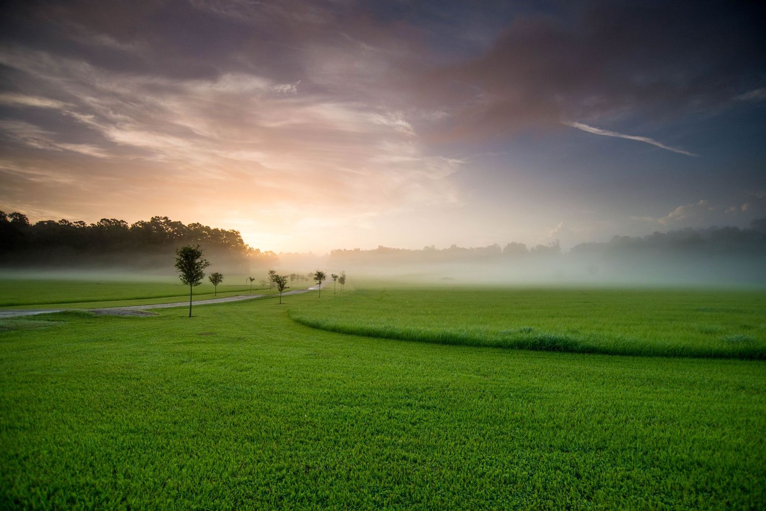 Misty sunrise over rolling green farmland with scattered trees and a dramatic cloudy sky.