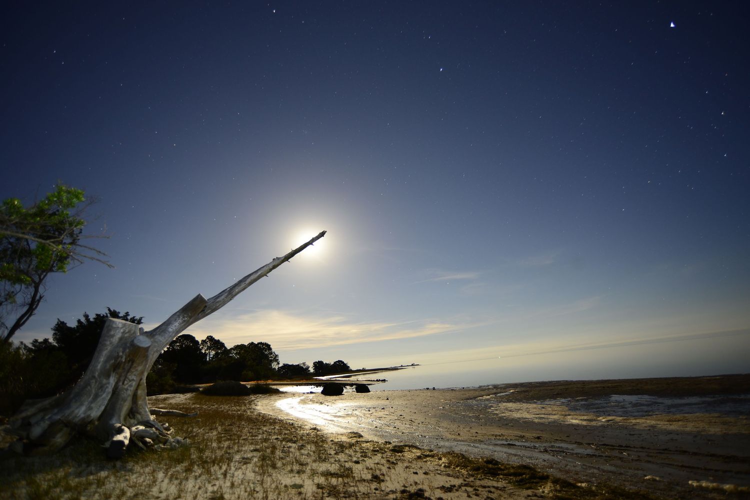 Silhouette of driftwood on a beach at dusk with stars visible in the darkening sky above the ocean horizon.