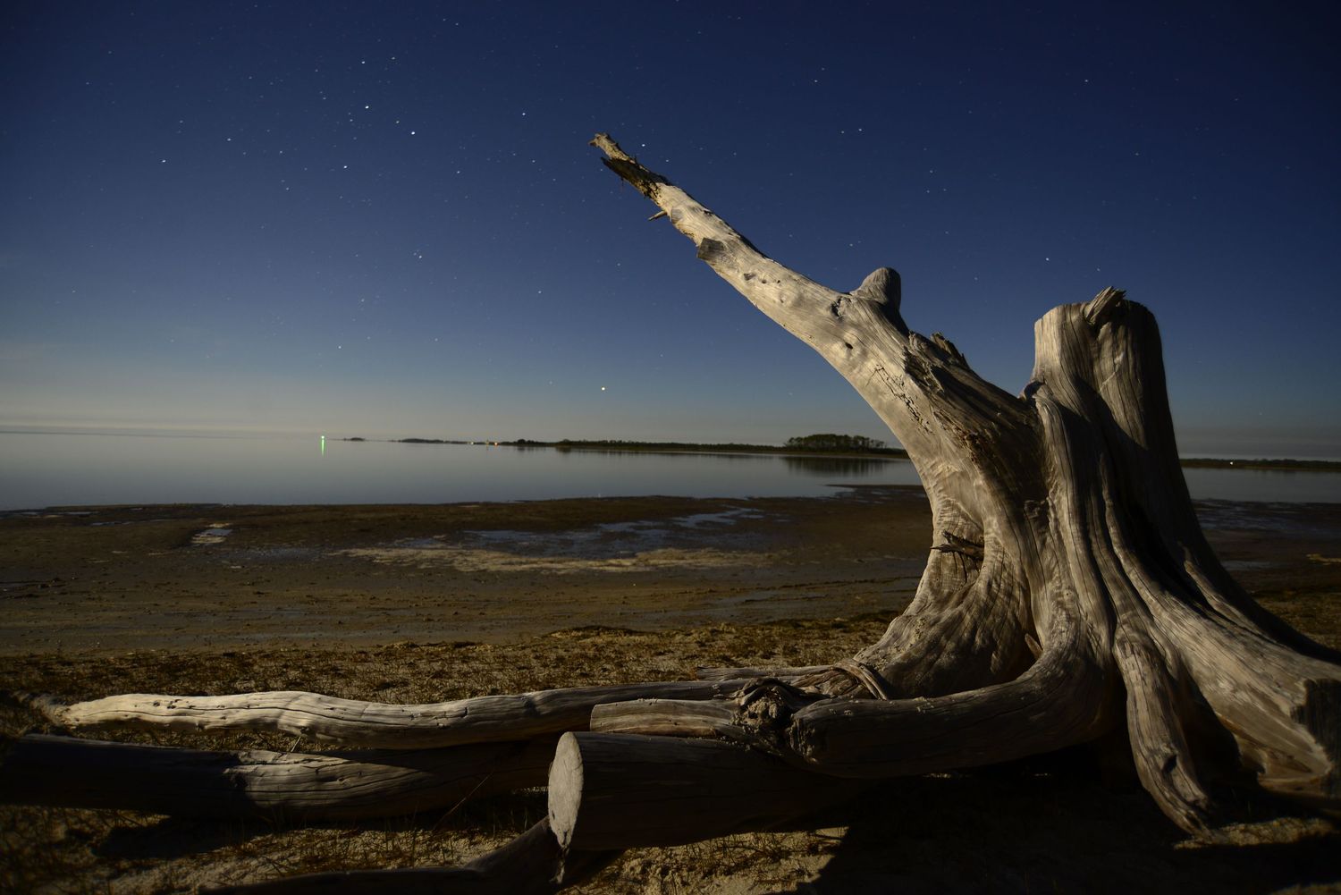 Panoramic view of a barren desert landscape with driftwood and distant mountains under a twilight sky.