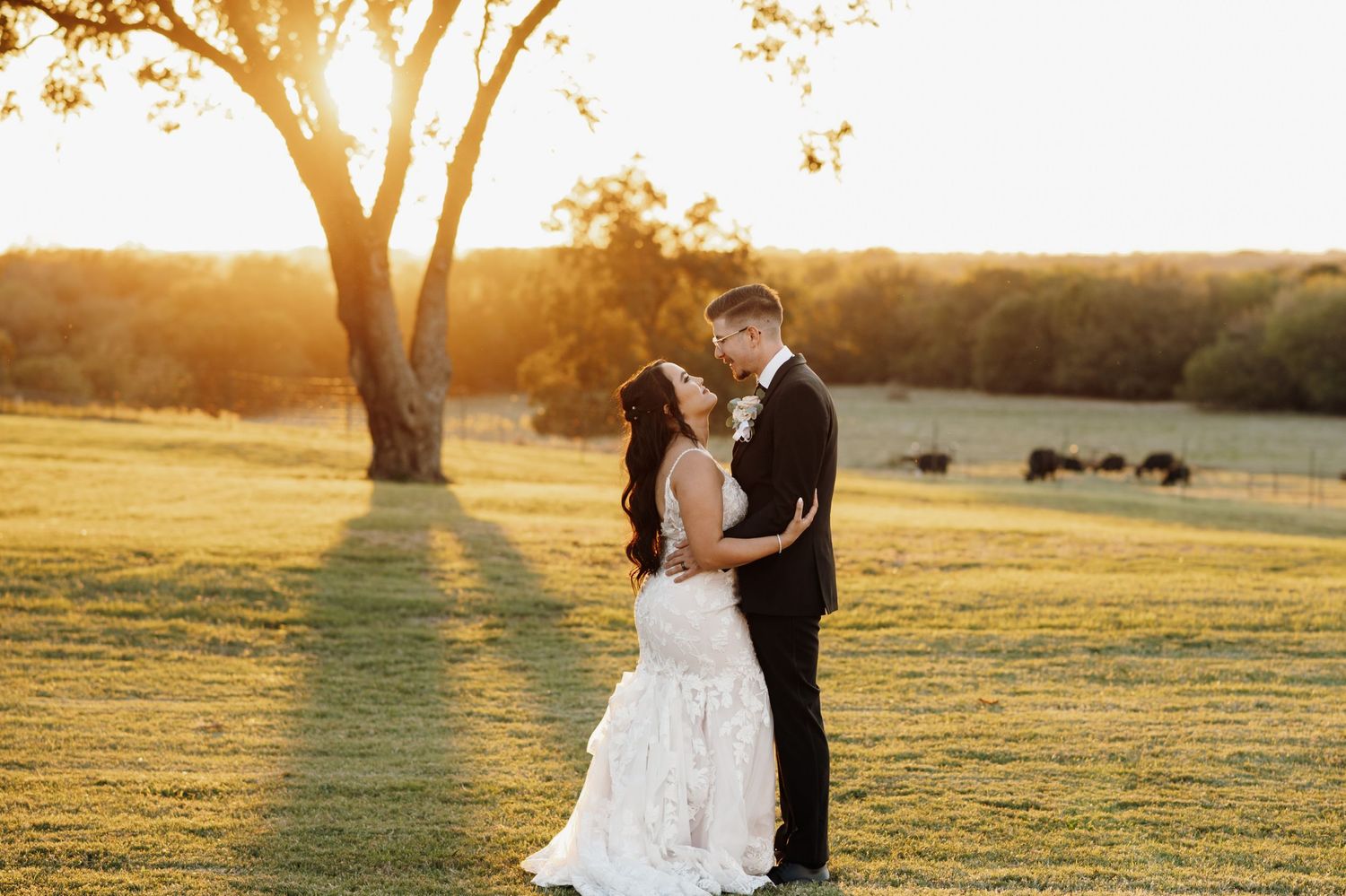 A romantic sunset wedding photo session in a golden field with trees casting long shadows.