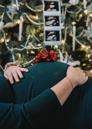 A red bow sits atop a dark green sweater against a Christmas tree background with twinkling lights.