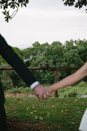 Close-up shot of two people holding hands in a garden with lush green trees in the background.