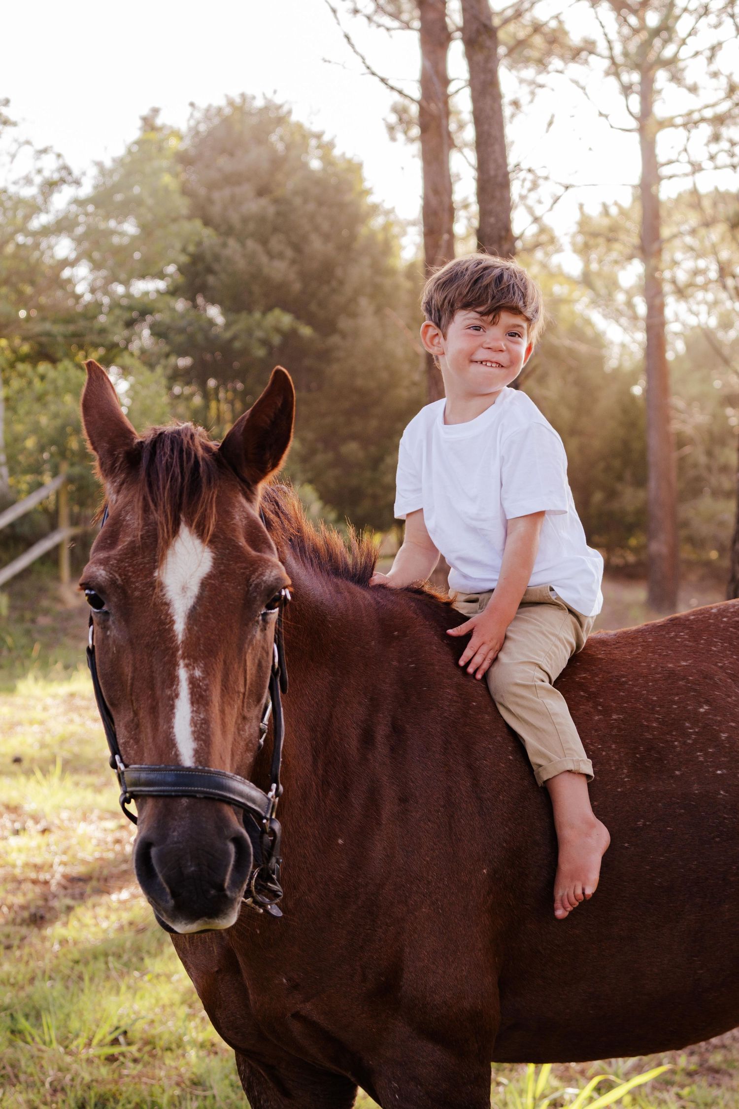 equestrian portrait photography in the garden route