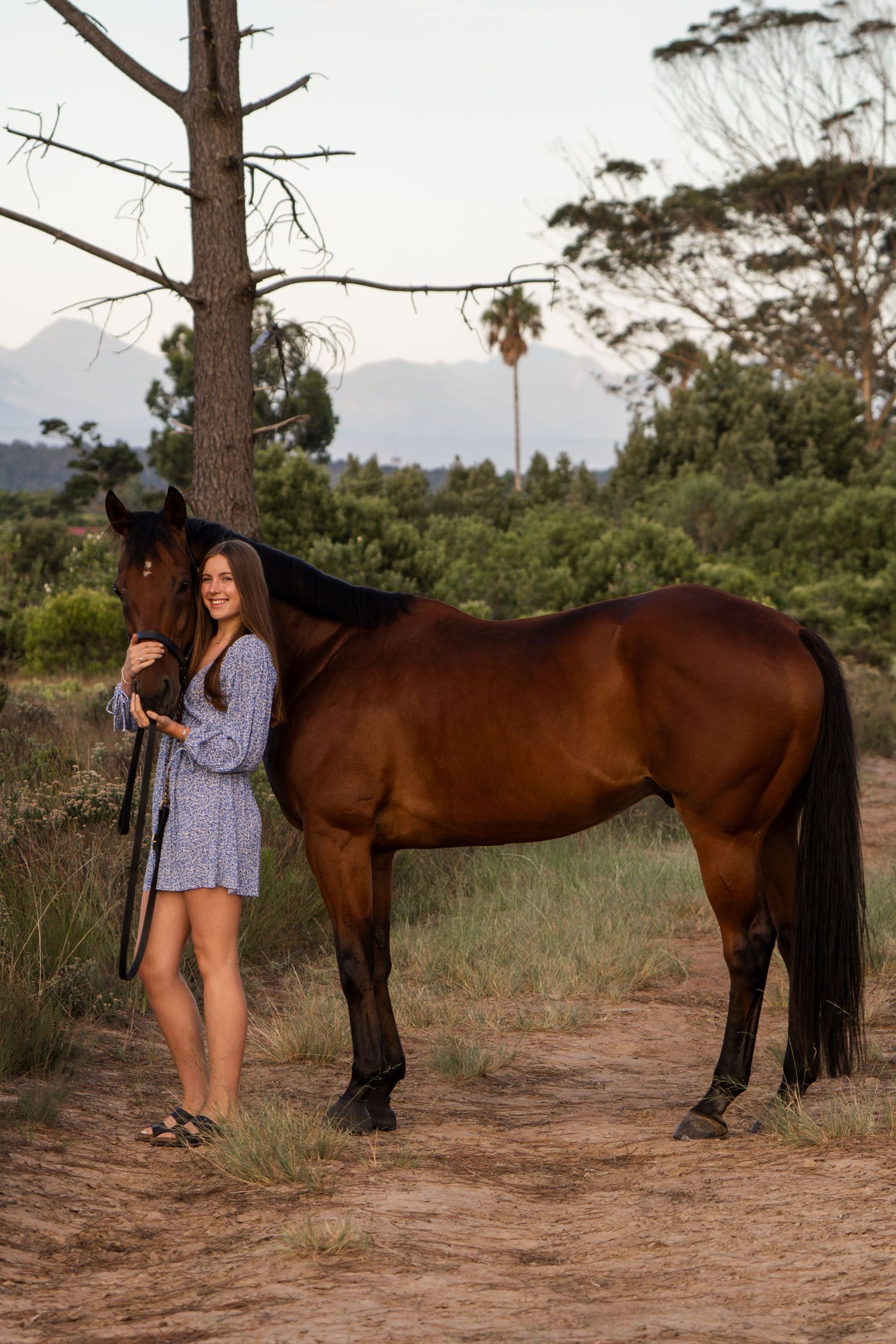 equestrian portrait photography session in the Garden Route