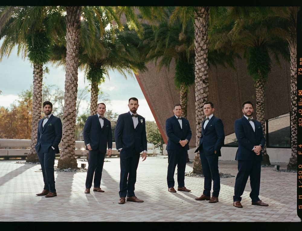 A sequence of formal wedding party photos taken outdoors with palm trees and stone walls in the background.