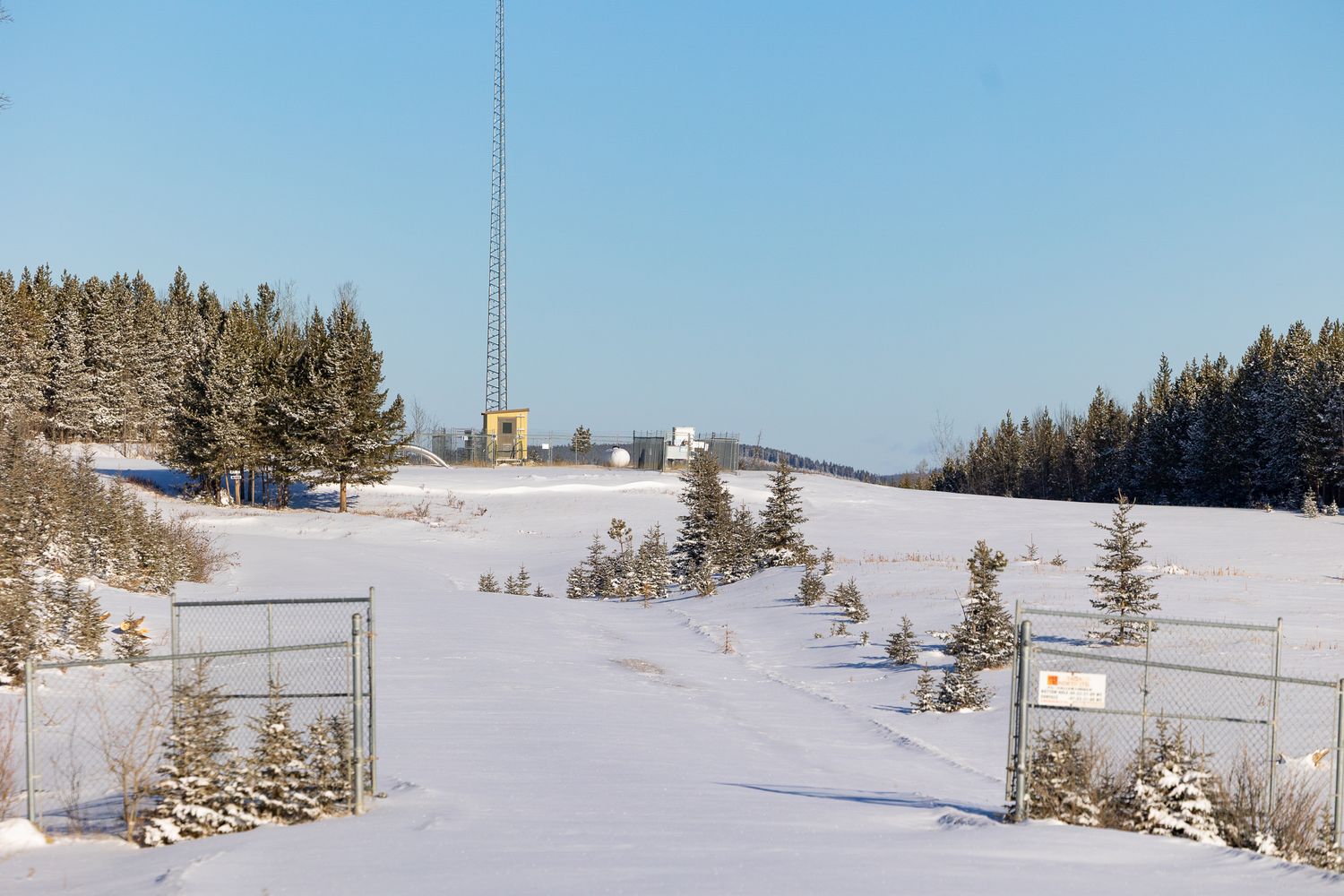 Snow-covered open field with a tall communications tower and evergreen trees under a clear blue sky.
