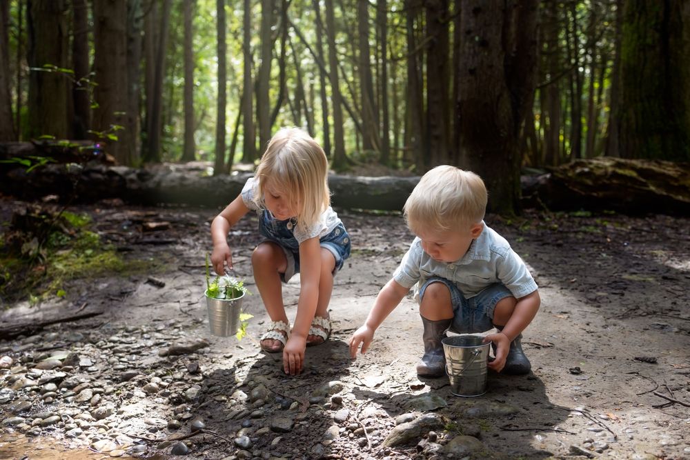 Two young children explore and play with jars on a sunlit forest path surrounded by tall trees.