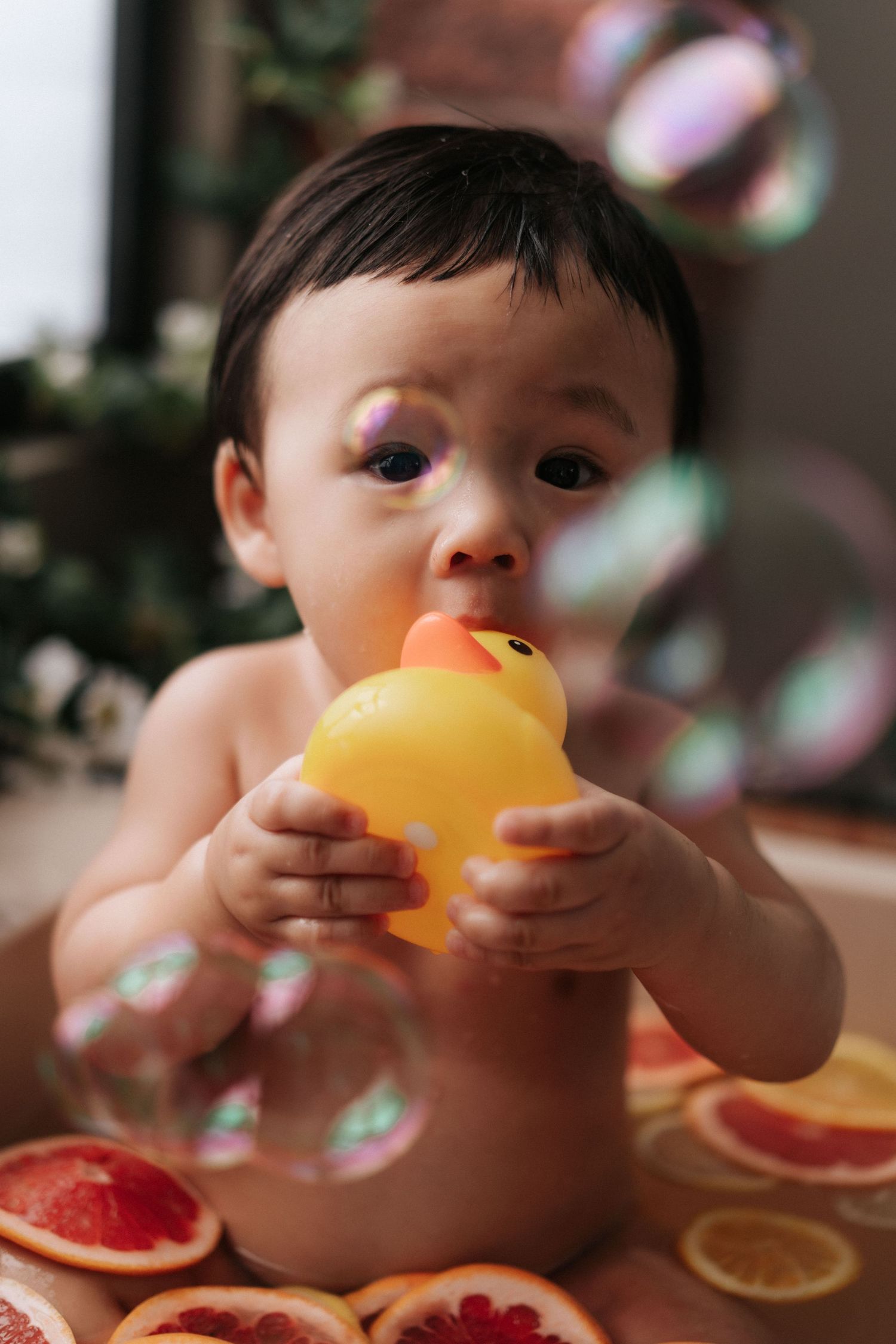 A child takes bites of fresh citrus fruit slices while sitting at a table with scattered orange and grapefruit segments.